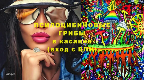 МДПВ Вяземский
