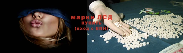 МДПВ Вяземский
