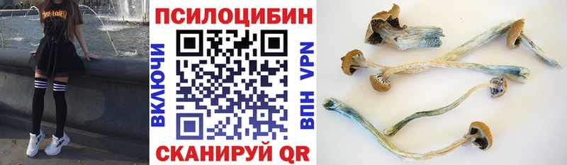 купить сайты Батайск Псилоцибиновые грибы Cubensis